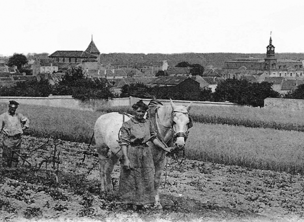 Conduite du cheval par la bride incombant aux femmes