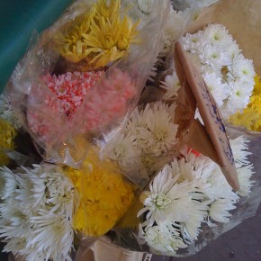 Marguerite au marché