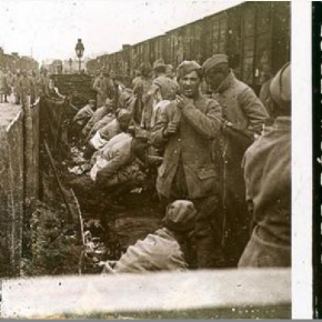 En cas de besoin pressant... les feuillées